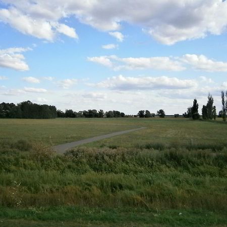 Alles Paletti Mit Klimaanlage Daire Wittenberg Dış mekan fotoğraf