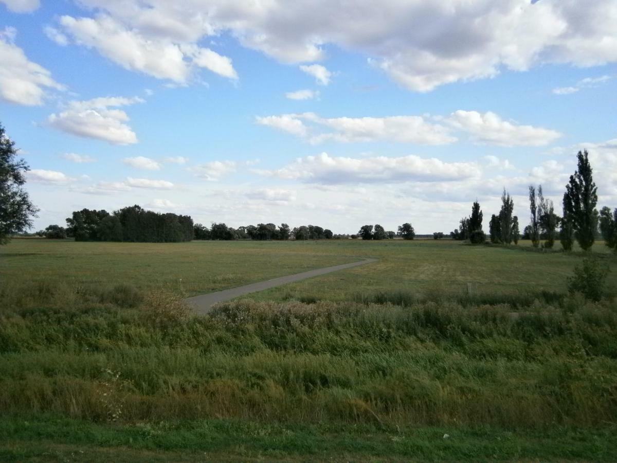 Alles Paletti Mit Klimaanlage Daire Wittenberg Dış mekan fotoğraf