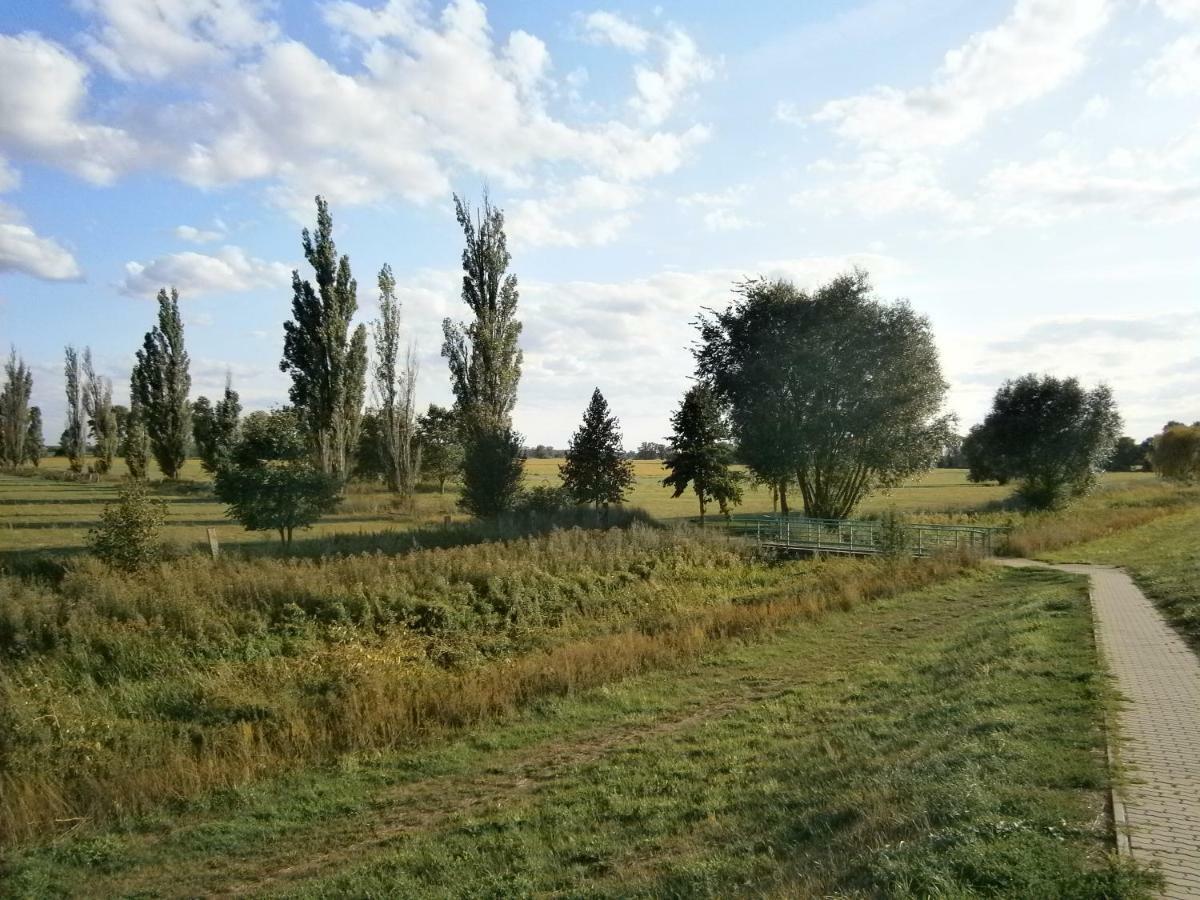 Alles Paletti Mit Klimaanlage Daire Wittenberg Dış mekan fotoğraf
